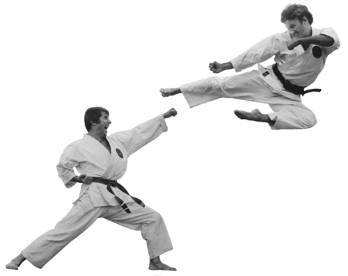 What is karate - flying-side-kick