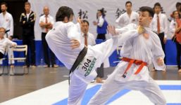 Sparring at the 2017-WSKF World Championships 2
